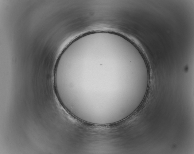 X0000111911191200907271027