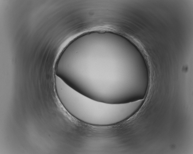 X0000111911200200907271027