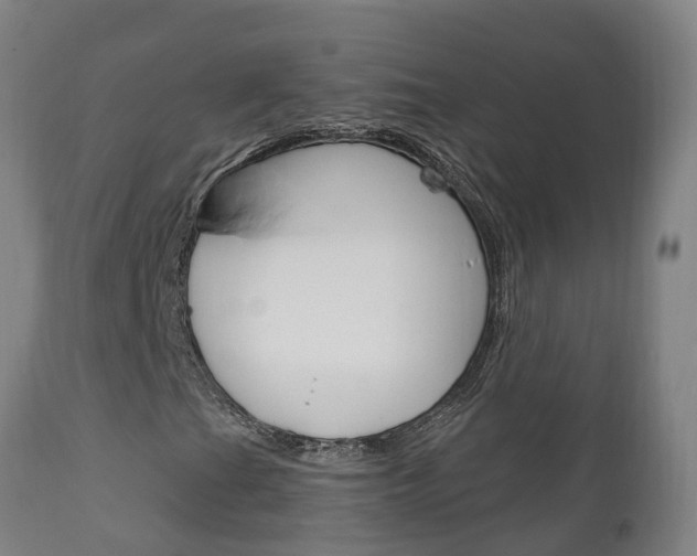 X0000111911201200907271026