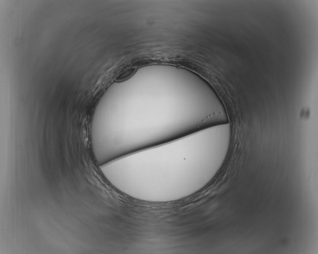 X0000111911202200907271026