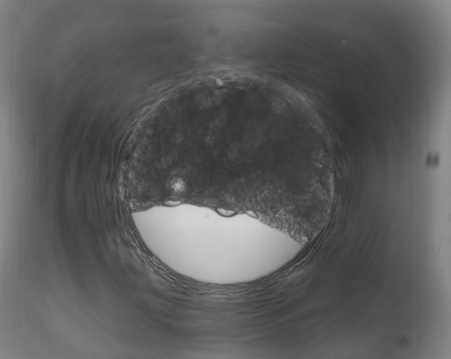 X0000111911203200907271026