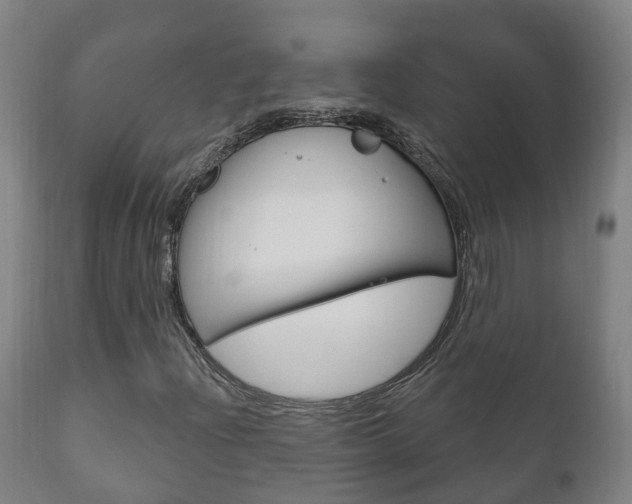 X0000111911204200907271026