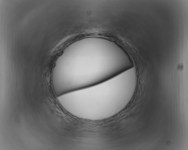 X0000111911206200907271026
