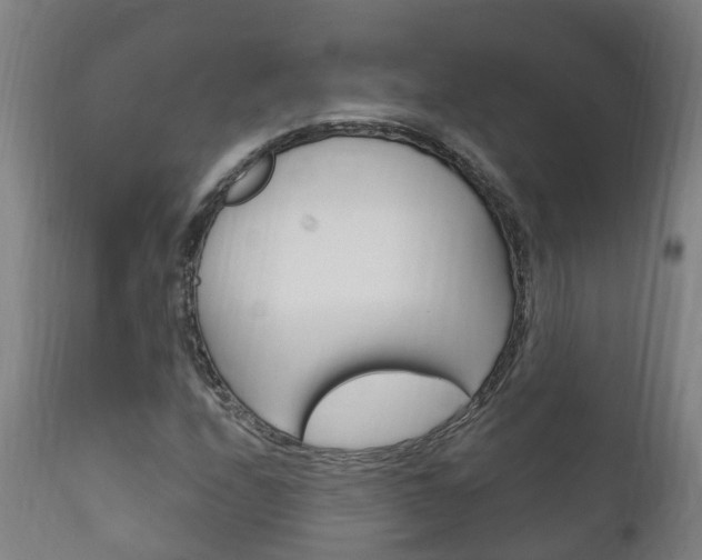 X0000111911208200907271026
