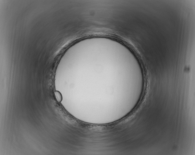 X0000111911211200907271027