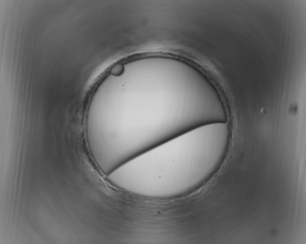 X0000111911216200907271027