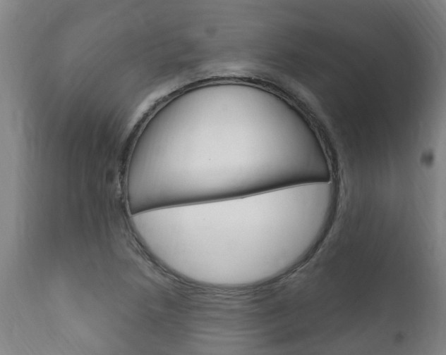 X0000111911218200907271027