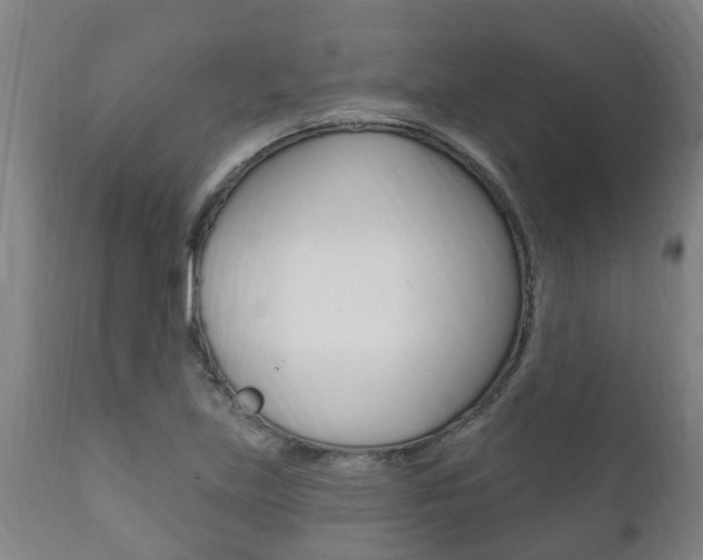 X0000111911219200907271027