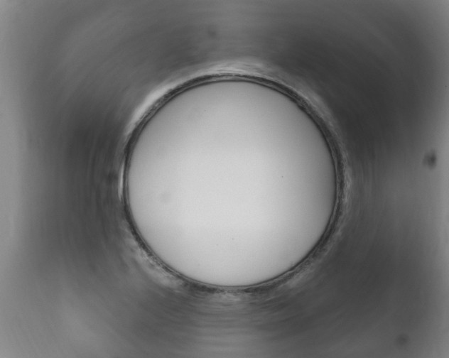 X0000111911224200907271027