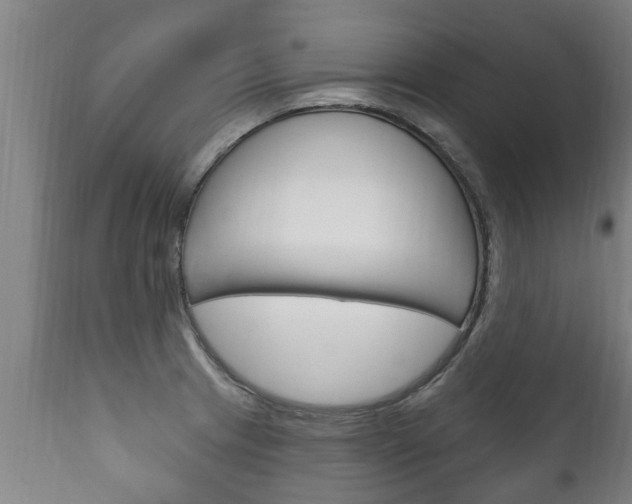 X0000111911233200907271027