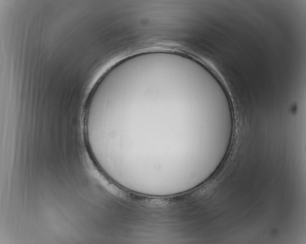 X0000111911235200907271027
