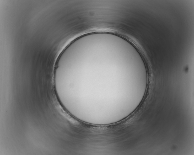X0000111911236200907271027