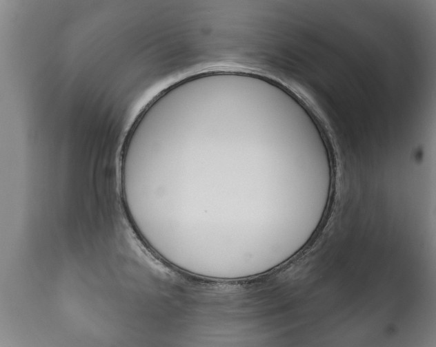 X0000111911238200907271027