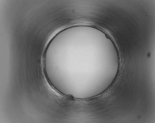 X0000111911243200907271027