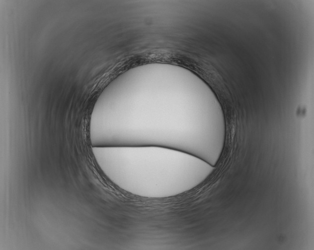 X0000111911250200907271026