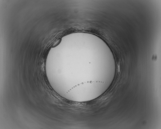 X0000111911251200907271026
