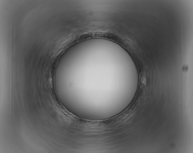 X0000111911252200907271026