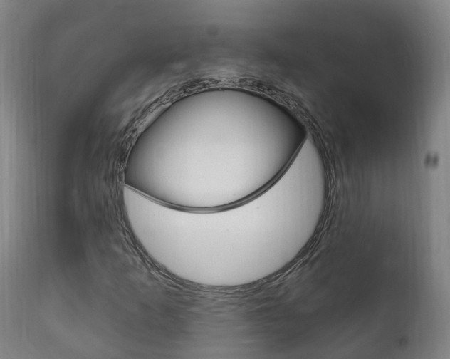 X0000111911253200907271026