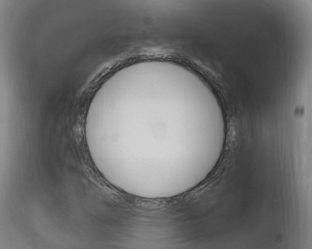 X0000111911254200907271026