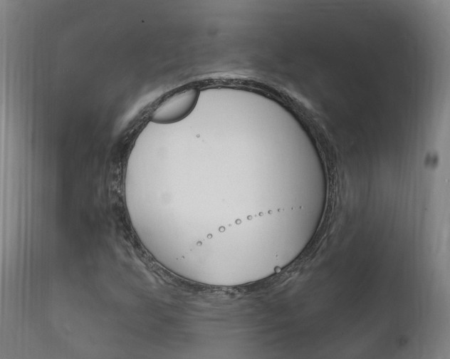 X0000111911255200907271026