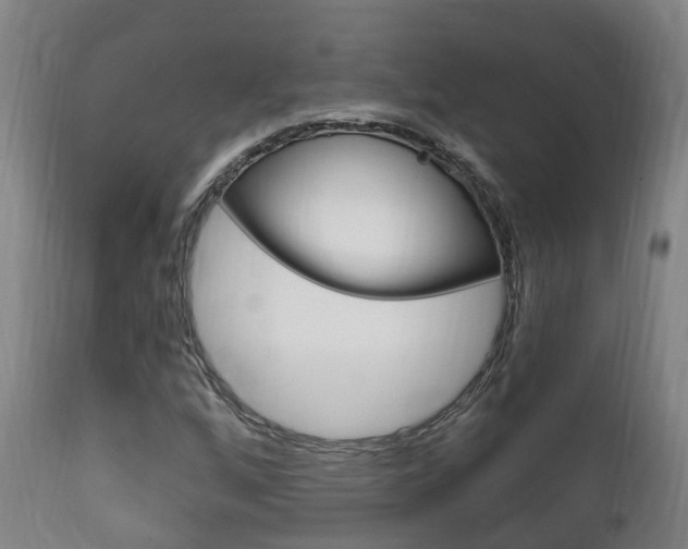 X0000111911256200907271026