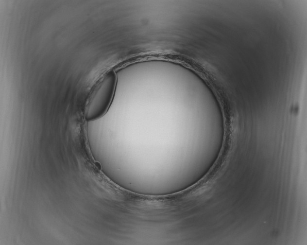 X0000111911257200907271026