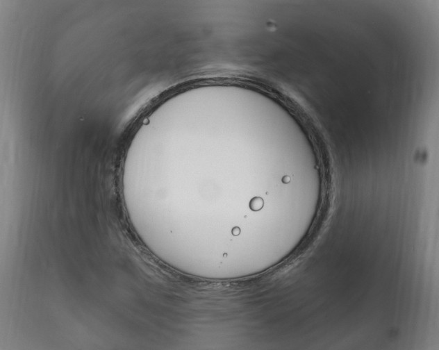 X0000111911259200907271026