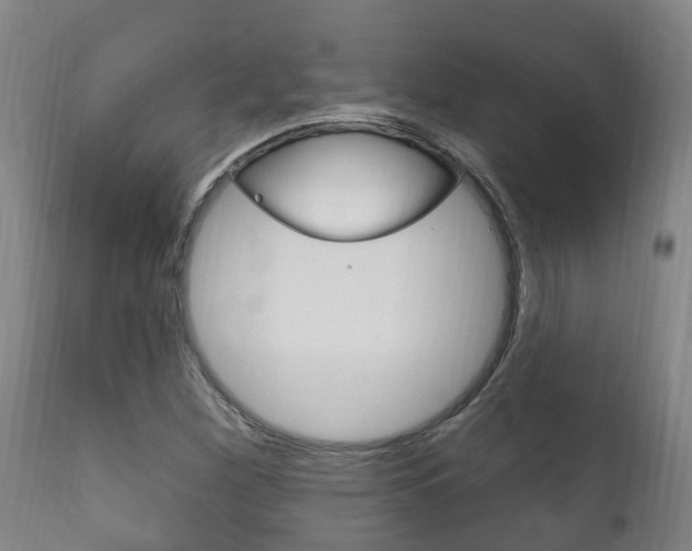 X0000111911260200907271026