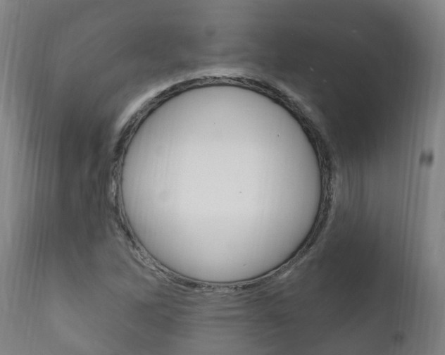 X0000111911262200907271026