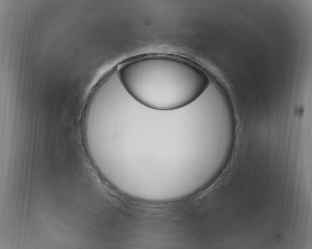 X0000111911264200907271026