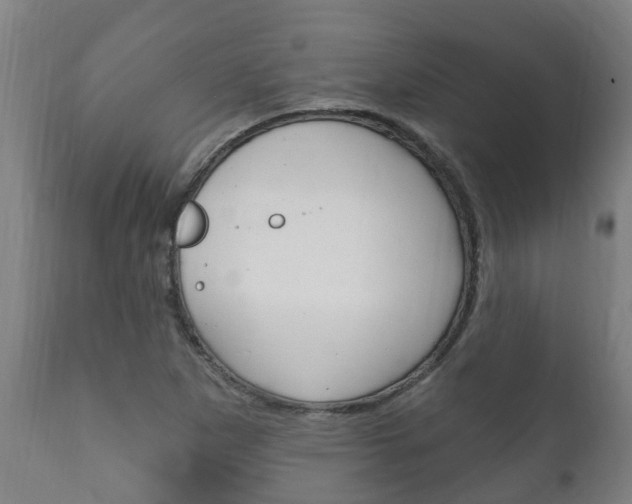 X0000111911265200907271026