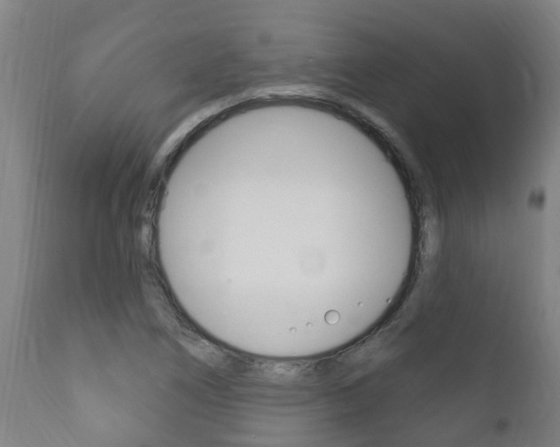 X0000111911266200907271026