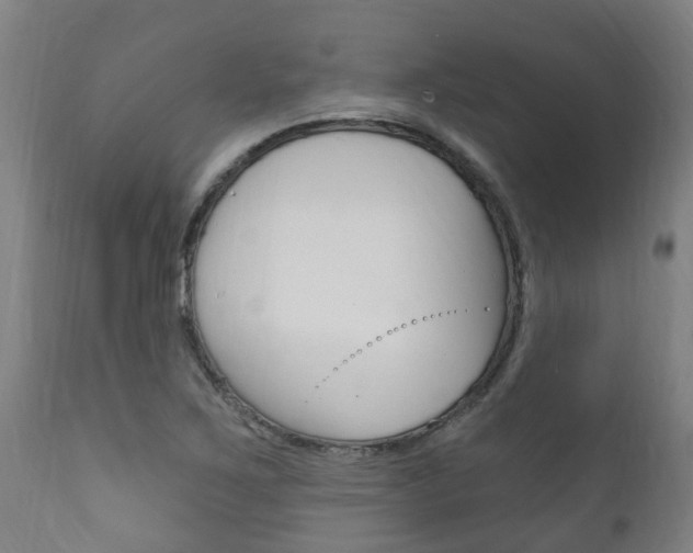 X0000111911267200907271026