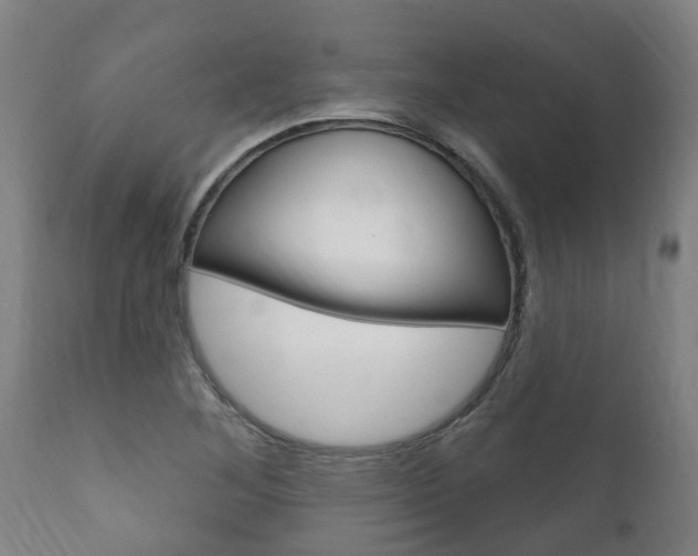 X0000111911268200907271026