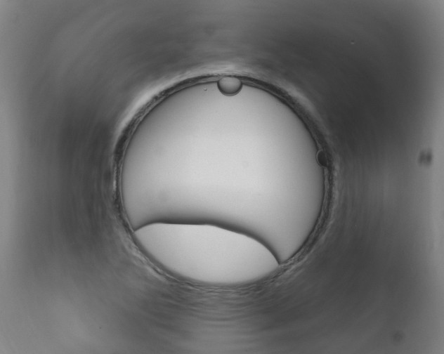 X0000111911270200907271026