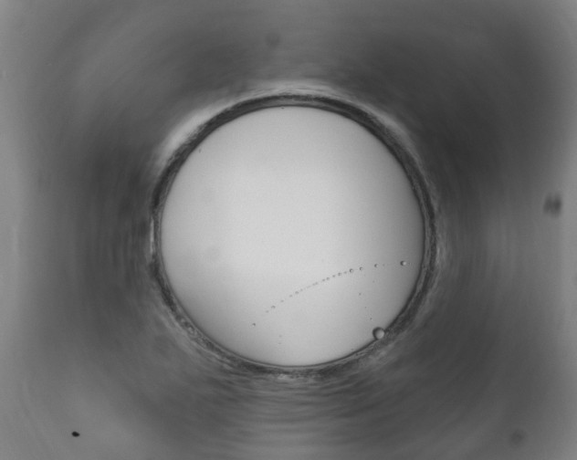 X0000111911271200907271026