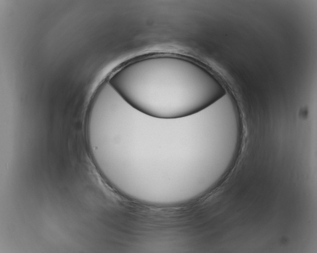 X0000111911272200907271026