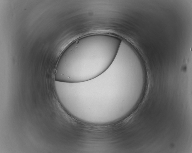 X0000111911273200907271026