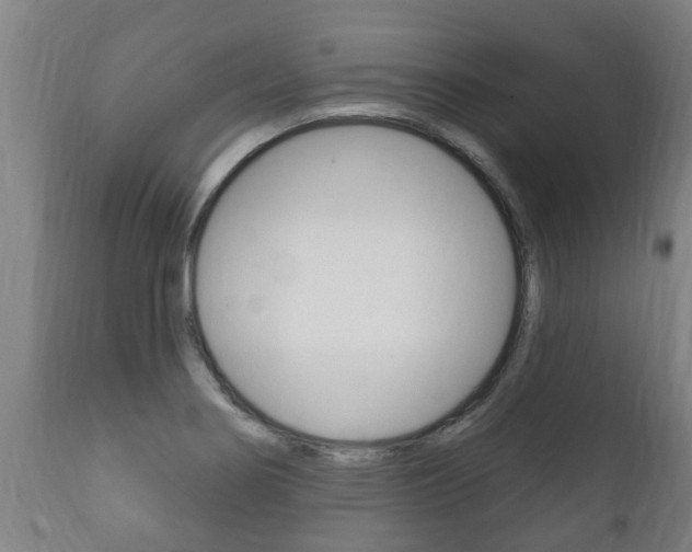 X0000111911274200907271026