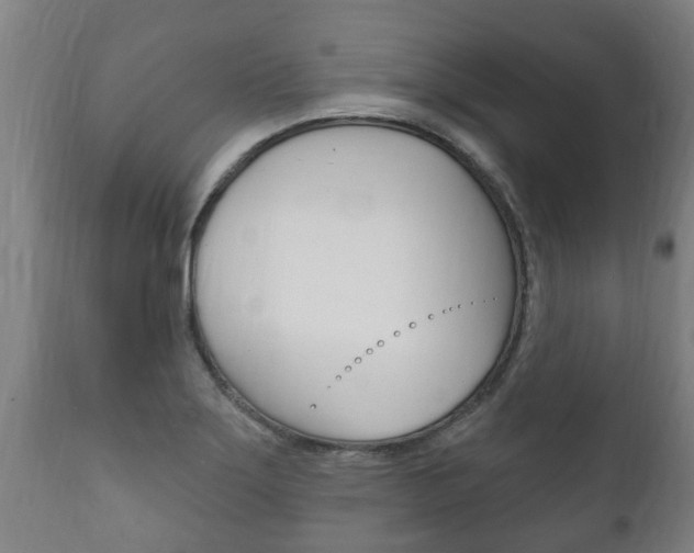 X0000111911275200907271026
