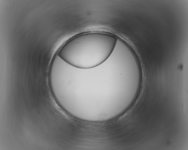 X0000111911277200907271026