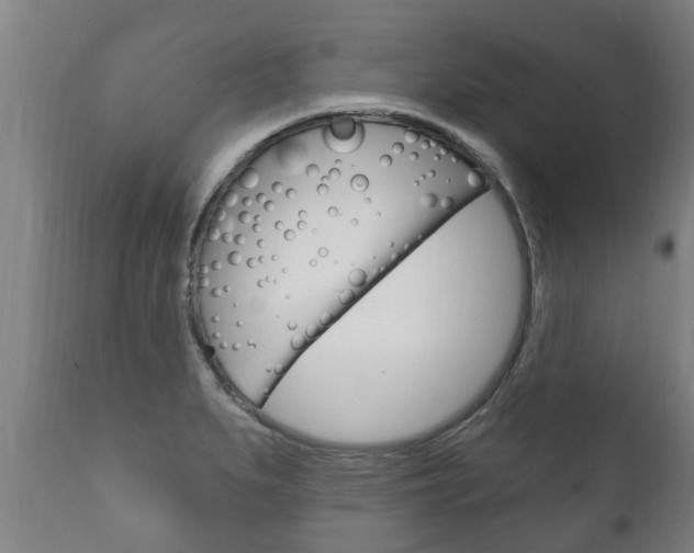 X0000111911279200907271026