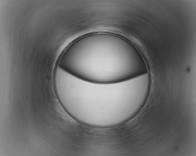 X0000111911280200907271026