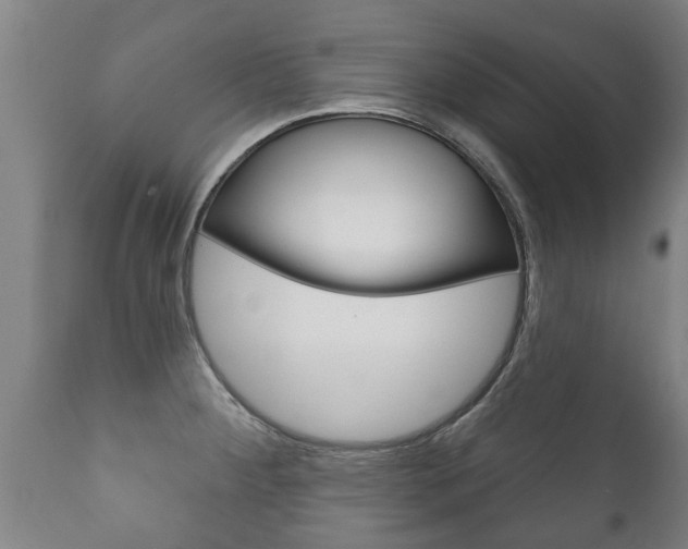X0000111911284200907271026