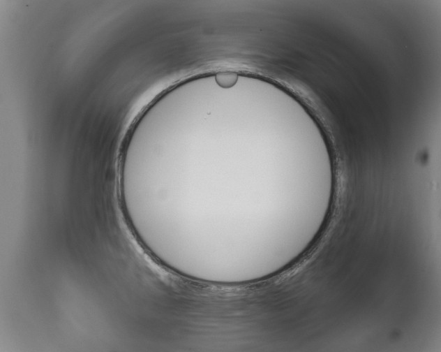 X0000111911286200907271026