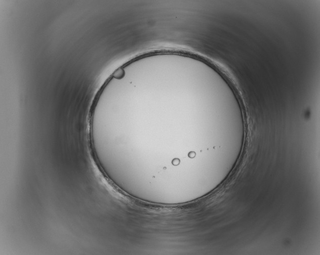 X0000111911287200907271026