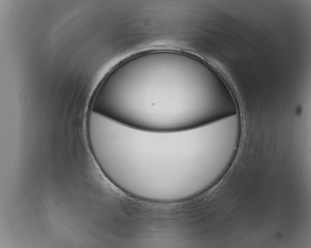 X0000111911288200907271026
