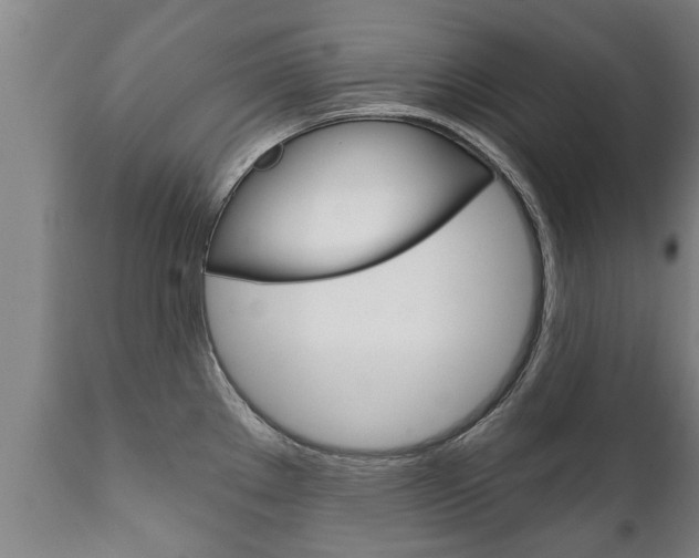 X0000111911289200907271026