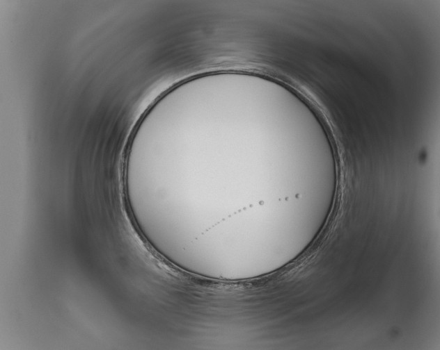 X0000111911291200907271026