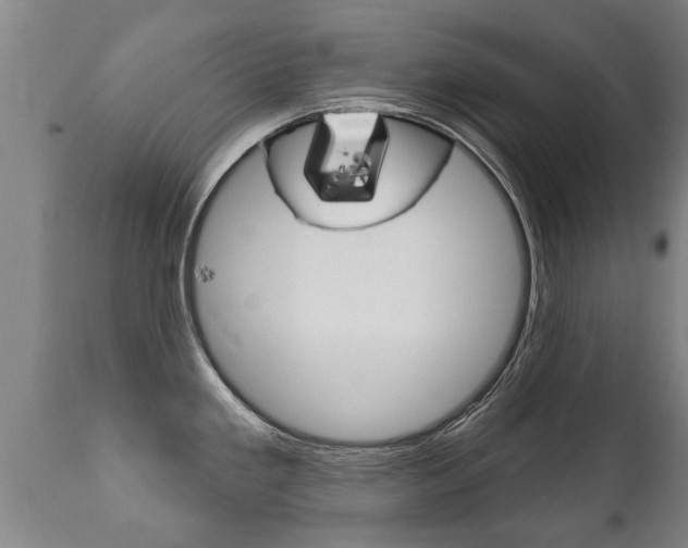 X0000111911293200907271026